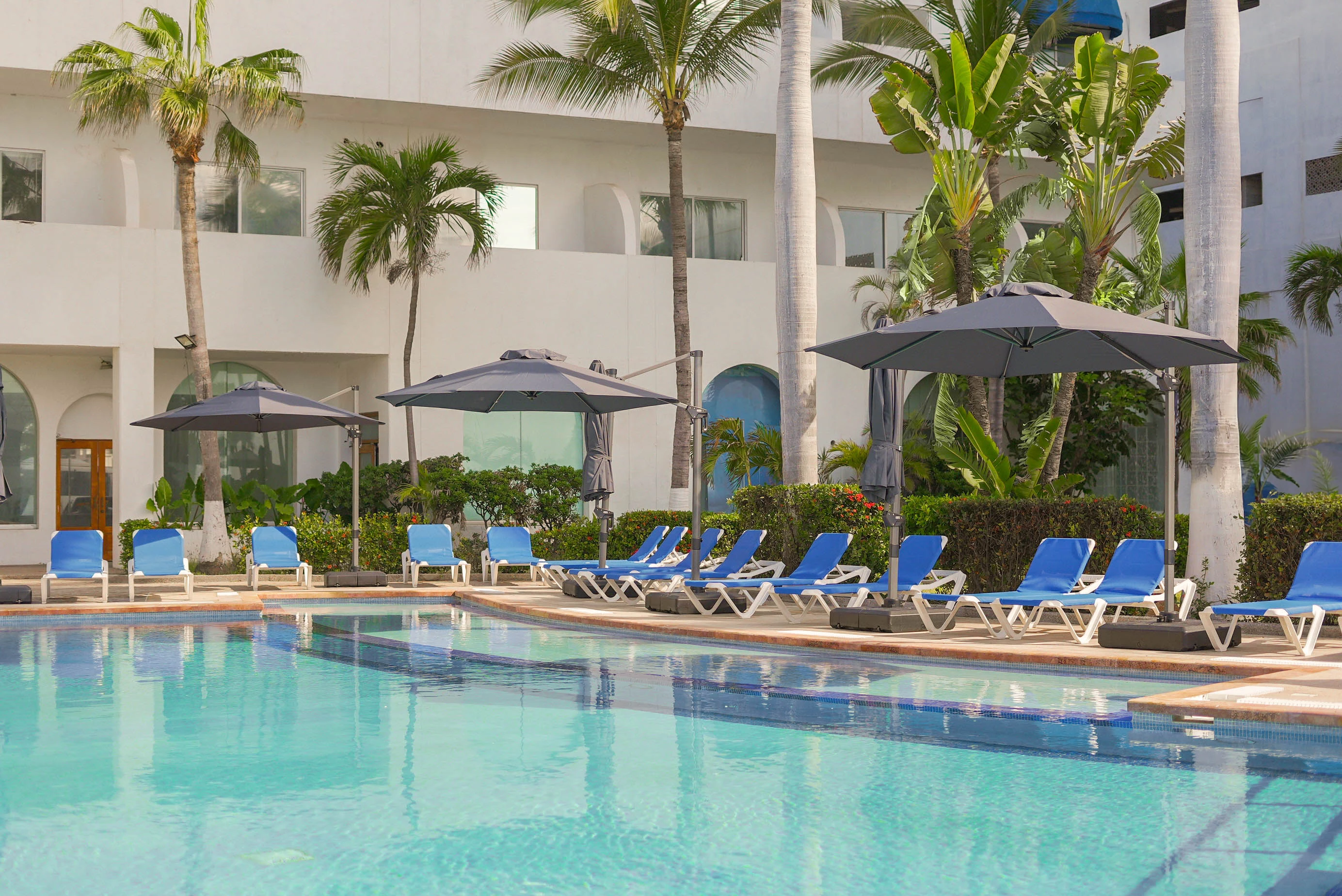 alberca de hotel de hotel sunset mazatlan y areas verde con flores